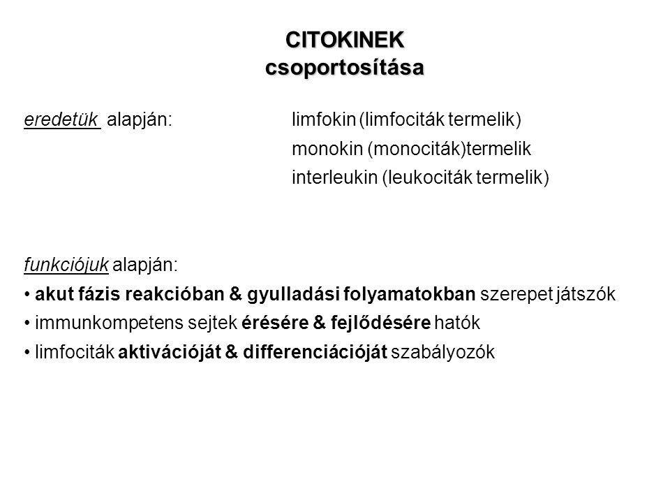 CITOKINEK csoportosítása