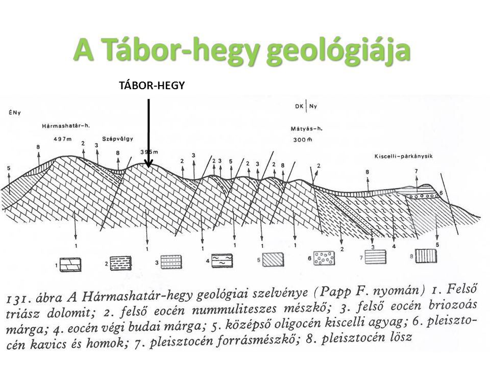 A Tábor-hegy geológiája