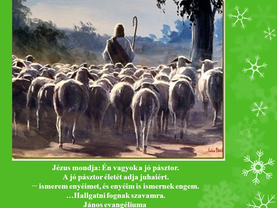 Jézus mondja: Én vagyok a jó pásztor.