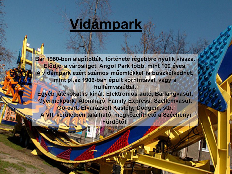 Vidámpark Bár 1950-ben alapították, története régebbre nyúlik vissza.