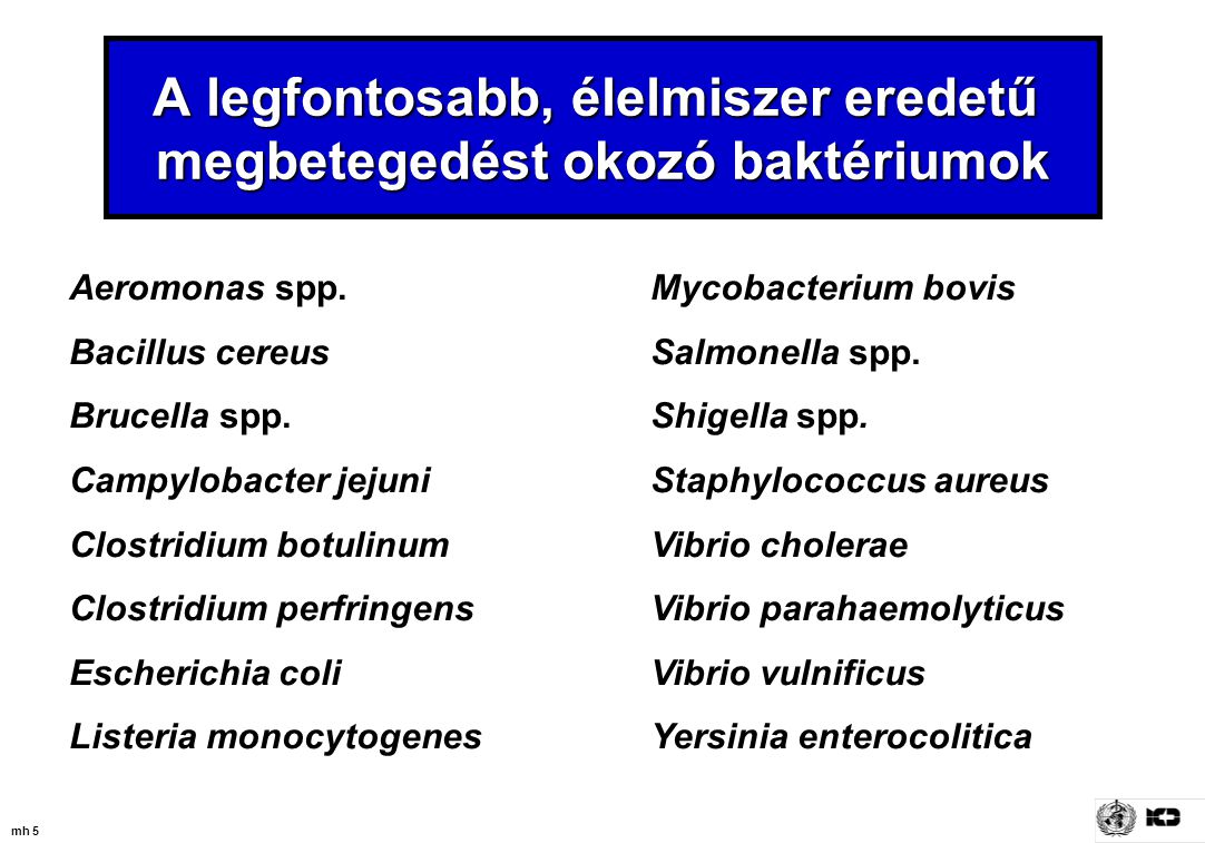 Helminthic betegségek ppt. A Magyarországon előforduló féregfertőzések