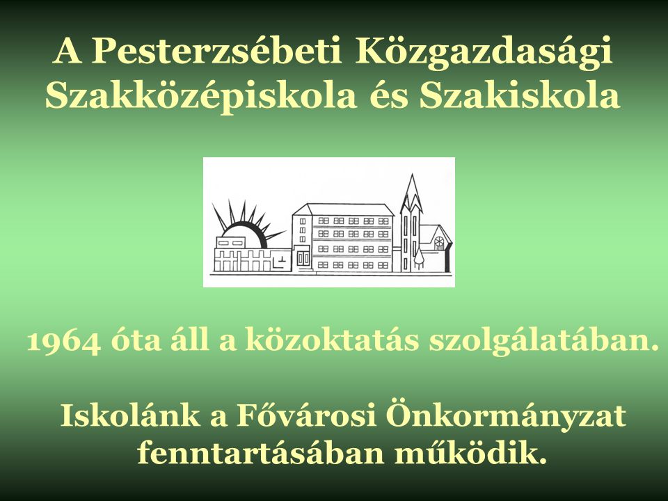 A Pesterzsébeti Közgazdasági Szakközépiskola és Szakiskola