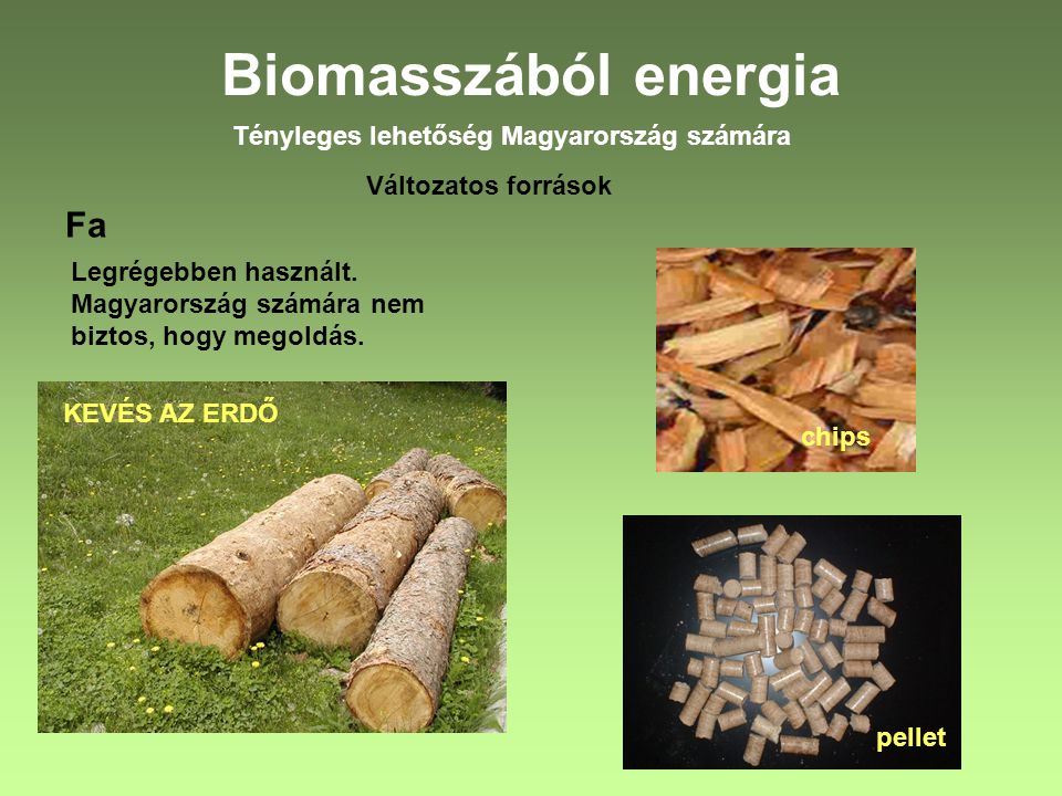 Biomasszából energia Fa Tényleges lehetőség Magyarország számára