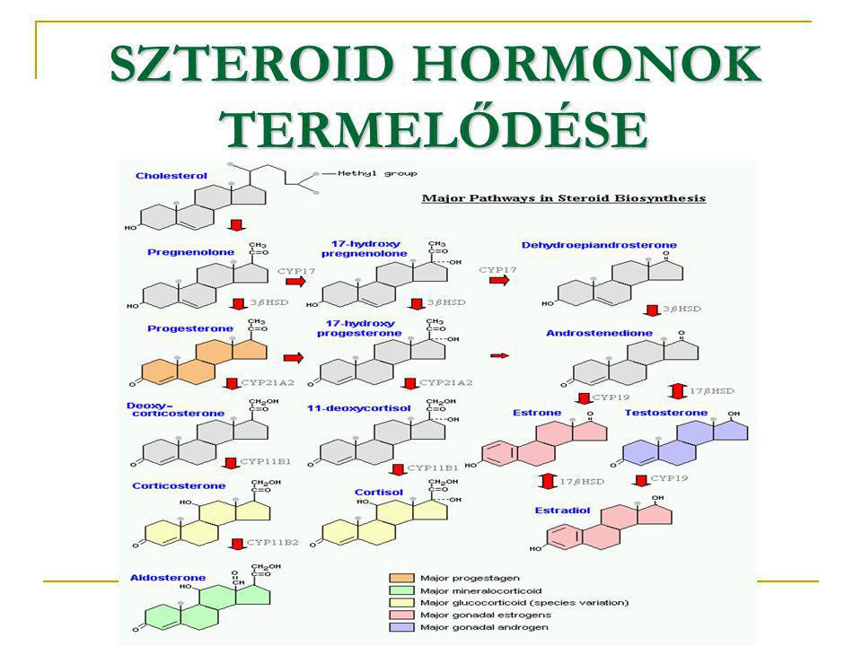 Szteroid hormonok