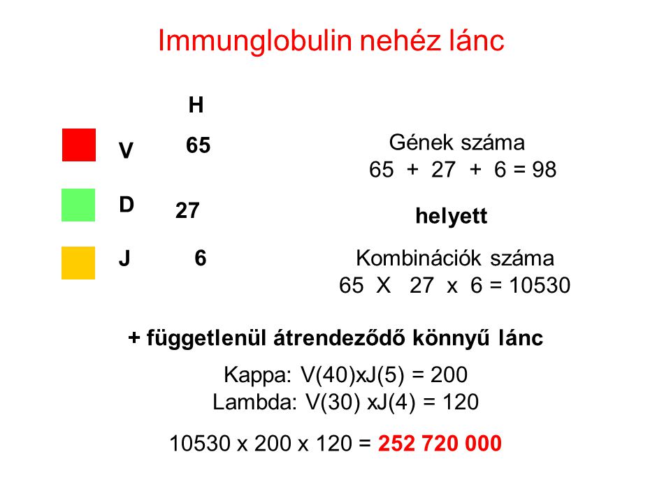 Antigén-felismerő Receptorok (BCR, TCR) - Ppt Letölteni