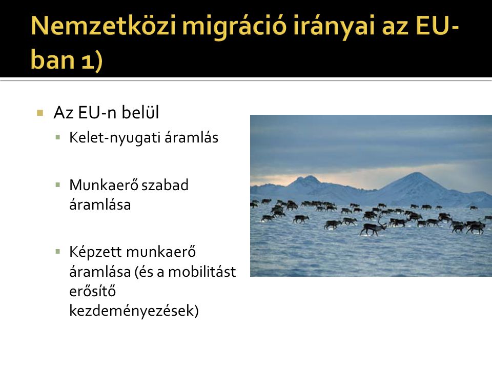 Nemzetközi Migráció és Az Európai Uniós Választások - Ppt Letölteni