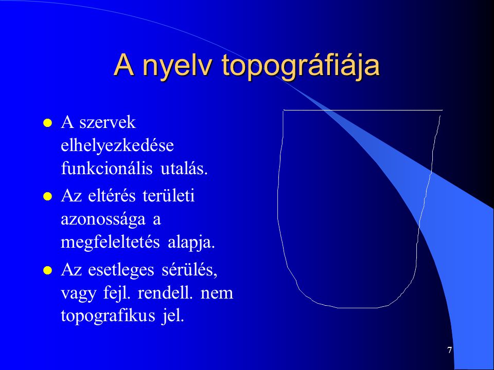 A nyelv topográfiája A szervek elhelyezkedése funkcionális utalás.