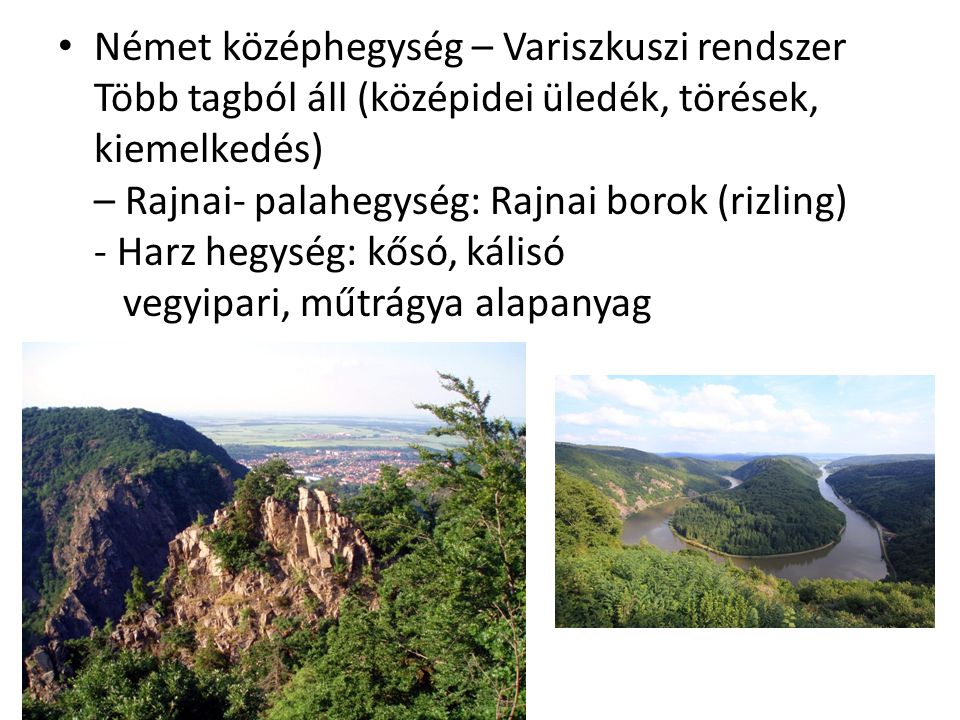 Német középhegység – Variszkuszi rendszer Több tagból áll (középidei üledék, törések, kiemelkedés) – Rajnai- palahegység: Rajnai borok (rizling) - Harz hegység: kősó, kálisó vegyipari, műtrágya alapanyag