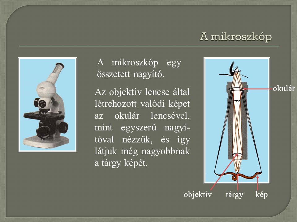 A mikroszkóp A mikroszkóp egy összetett nagyító.