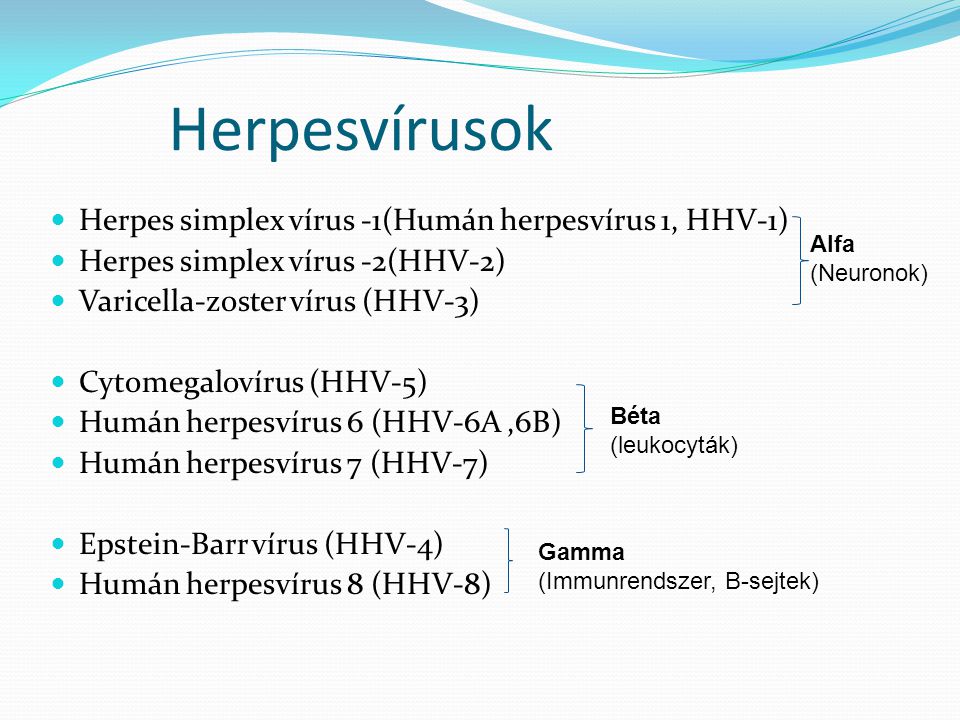 Herpesvírusok Herpes simplex vírus -1(Humán herpesvírus 1, HHV-1)