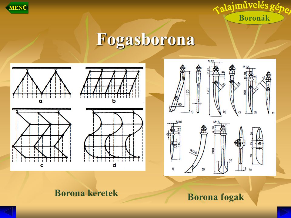 Fogasborona Borona keretek Borona fogak Talajművelés gépei Boronák