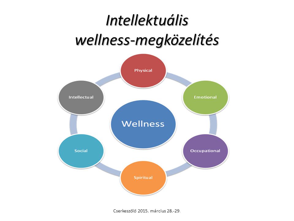 Intellektuális wellness-megközelítés