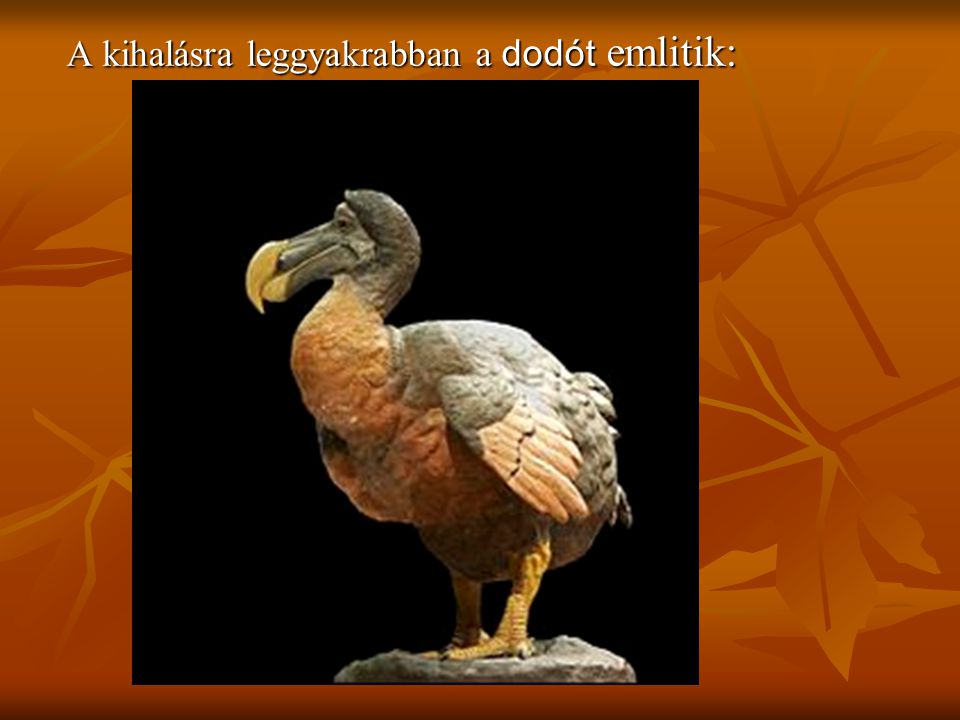 A kihalásra leggyakrabban a dodót emlitik: