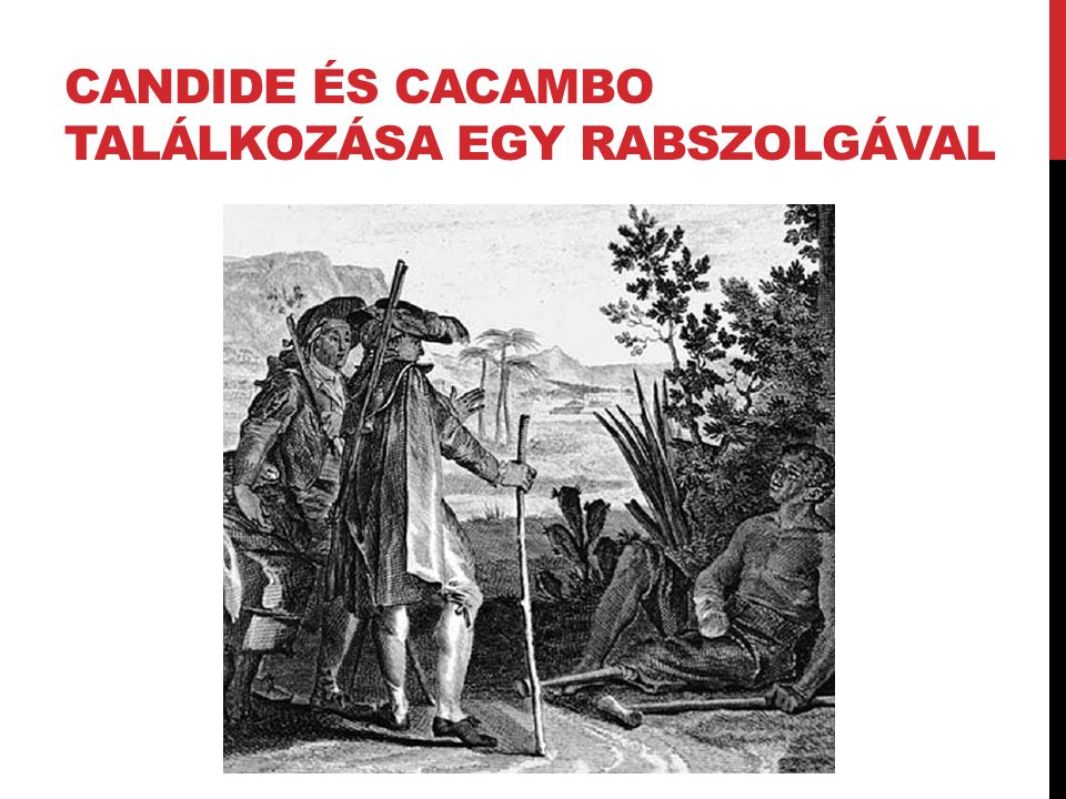 Candide és Cacambo találkozása egy rabszolgával