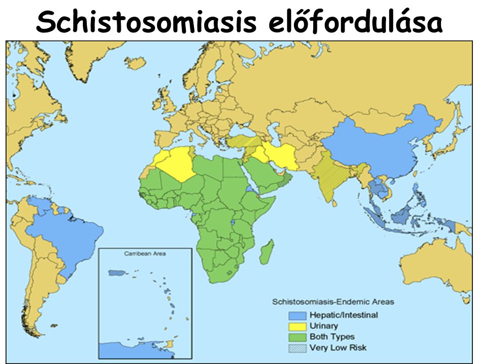 schistosomiasis kvalitatív vizsgálat
