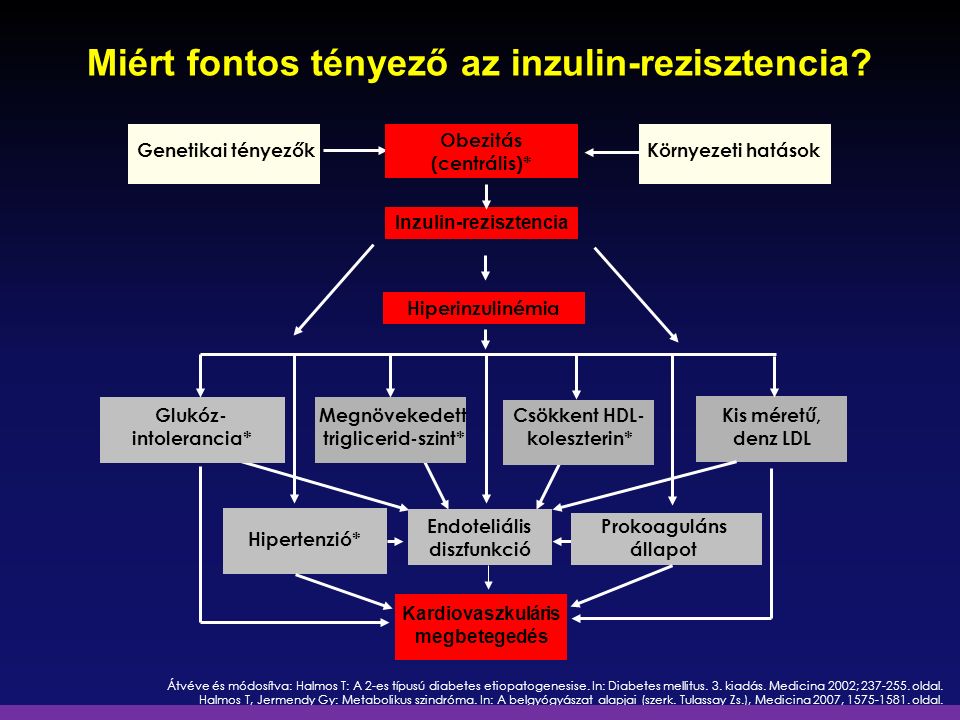 inzulinrezisztencia hiperinzulinémia